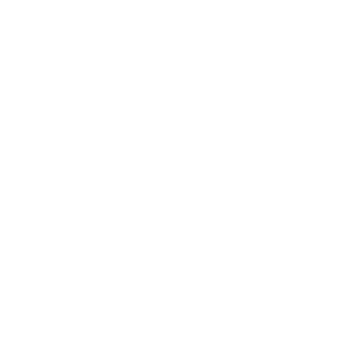 X8574 100 percent logo white